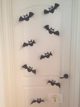 Bats