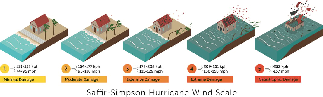 Hurricane Cat copy