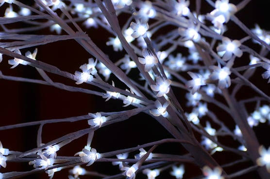 led christmas lights and how much electricity costs