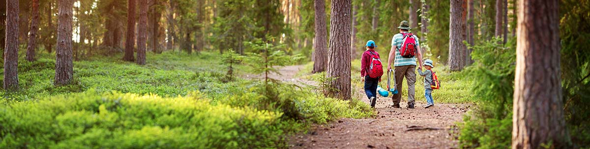 Green Camping Tips