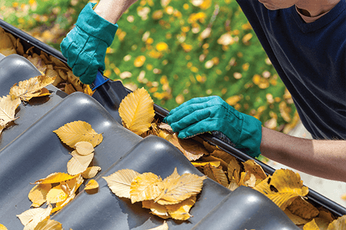 fall repairs